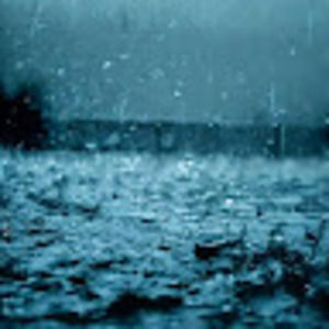 Meet your Posher, Shana